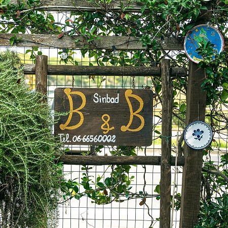 B&B Sinbad La Scialuppa Fregenae Ngoại thất bức ảnh